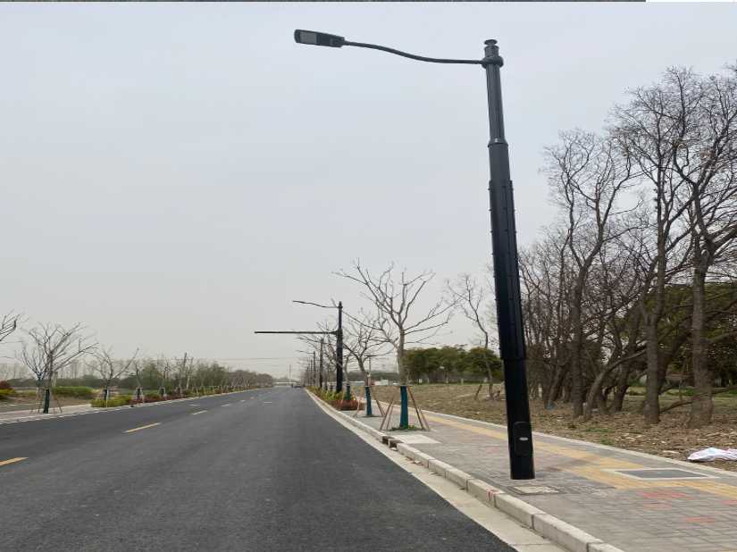 临武县上海综合杆 太阳能路灯工程